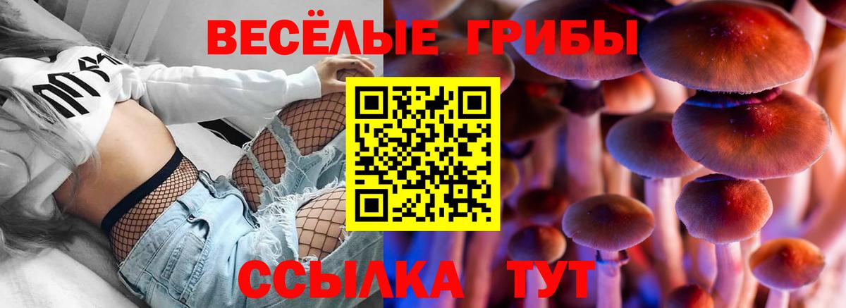 Псилоцибиновые грибы Psilocybine cubensis  Вход с VPN  Норильск 